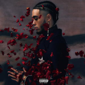 欧洲女人荫蒂视频
